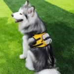 JUMAHE outdoor dog backpack with treat storage